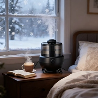 Humidificateur ultrasonique à brume froide 2L, grande capacité, remplissage par le haut, en plastique, pour maison et hôtel
