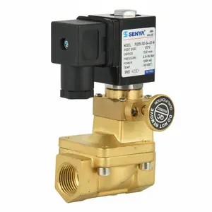 PU225 24V pilota azionato normalmente chiuso elettrovalvola a solenoide in ottone acqua aria Gas 110V 220V elettrovalvola