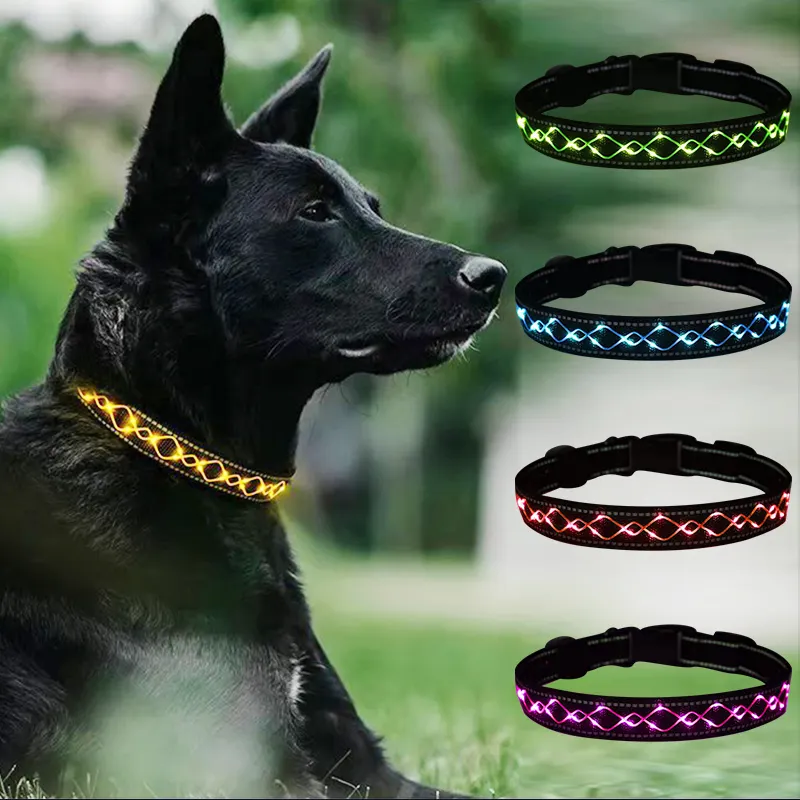 Venda quente Atacado Treinamento Acessórios Pet Supplies Colorido LED Dog Collar