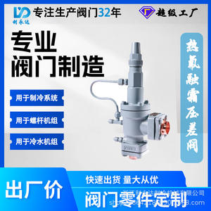 Vanne de dégivrage thermostatique Liyongda BCF BCF-25T-28 en acier moulé à joint rigide pour unités de réfrigération - Product Image 5