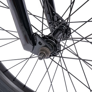 Bicicleta BMX de Fábrica a Diversos Precios en Venta, Cuadro Hi-Ten de 20 Pulgadas, Crmo, Biela de 165 mm, Eje de Pedalier de 19 mm - Product Image 2