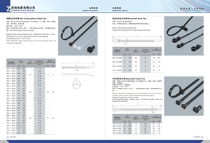 Cáp Tie S304 Tự Khóa Thép Không Gỉ Kim Loại Mỏng - Product Image 4
