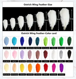 Black 23"-28" Full Wing Many Colors Large Ostrich Feather Plumes