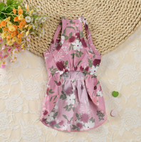 Robe plissée pour chien, vêtements animaux superposées, mignon, pour printemps