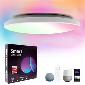 RGB Led Flush Mount Ceiling Light With Remote Control 13Inch 24W 2400LM 3000-6500K Dimmable Color Changing Light Fixture Modern