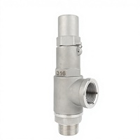 Soupape de sécurité en acier inoxydable 316, soupape de décharge SS316 1/2 pouce, 3/4 pouce, 1 pouce, 1 1/4 pouce, 2 pouces, soupape de décharge de pression pour chaudière à vapeur 110 bars