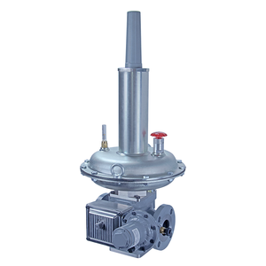 Meilleur régulateur auto-alimenté série LS200 pour gaz et régulateur de réduction à contrôle stabilisé - Product Image 2