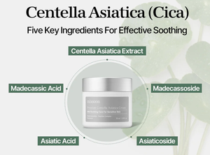 Crème Visage Apaisante et Calmante Premium Mixsoon Centella Asiatica 50ml pour Peaux Sensibles Soulagement des Rougeurs et Réparation - Product Image 3