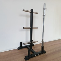 Support de rangement multifonctionnel, durable, écologique, en métal, portable, robuste, pour plaques de poids et barres de musculation, avec trous de différentes tailles, pour salle de sport intérieure