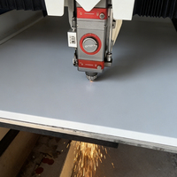 Machine de découpe laser à fibre automatique CNC pour le découpage de panneaux de portes d'armoires de commande électriques