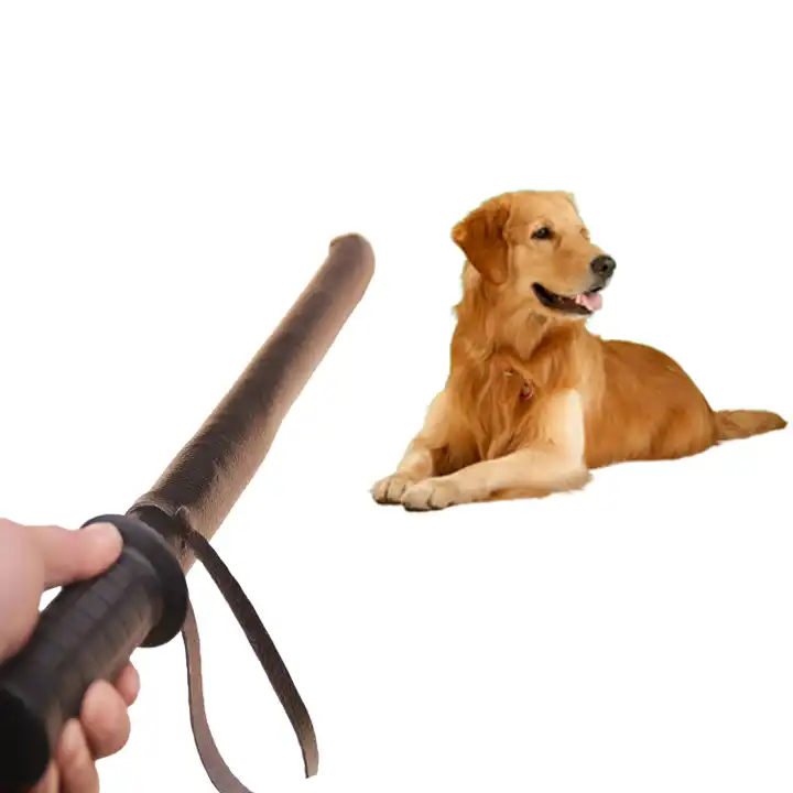 Dog Training Tools Recommended By Professionals
