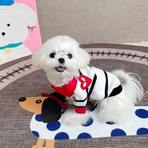 Ropa para Mascotas, Suéter de Punto a Rayas para Perros y Gatos, Todas las Temporadas, <span class=keywords><strong>Schnauzer</strong></span>, Yorkshire, Bichón Frisé, Perros Pequeños y Medianos, Venta al Por Mayor - Product Image 2