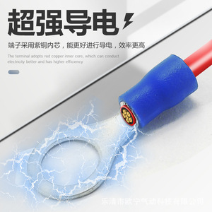 ขั้วต่อสายไฟแบบวงแหวนสำหรับวิศวกรรมเคมี RV 1.25-6 มม. 3.2-12 มม. ทองแดงบริสุทธิ์ แบบหุ้มฉนวนสำเร็จรูป สไตล์ยุโรป สำหรับการเดินสายไฟแบบกดเย็น - Product Image 3