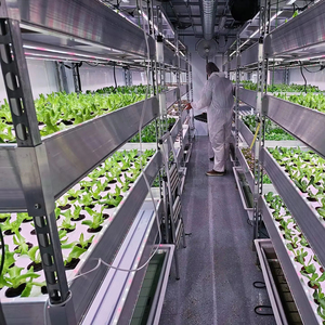 Thông minh nft trang trại dọc thủy canh vận chuyển nông nghiệp <span class=keywords><strong>container</strong></span> nft hệ thống thủy canh - Product Image 1