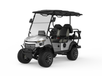 Modèle 2026, homologué CE, voiturette de golf électrique, chariot de golf utilitaire 4 places, chariot de golf surélevé pour le tourisme