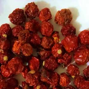 Jin deng-Frutos secos de grado alimenticio, <span class=keywords><strong>Physalis</strong></span> alkegengi naturales de color rojo largo - Product Image 2