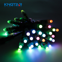 Les lumières colorées programmables de fête de Noël de la mode RVB ont mené la lumière de point de pixel