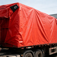 Bâche imperméable en PE de 3 x 10 pieds pour le camping