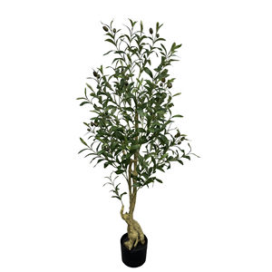 Olivier de créateur 4 pieds 5 pieds 6 pieds 7 pieds Jardinière minimaliste de verdure architecturale pour affichage intérieur et extérieur - Product Image 1