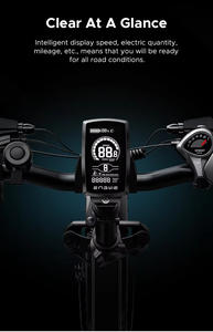 Vélo électrique pliable ENGWE EP-2 PRO 48V 250W à cadre en aluminium, pneus larges, pour hommes, adapté à la montagne et à la ville - Product Image 3