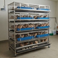 Système de cages d'élevage de cailles en batterie à 5 niveaux en acier inoxydable avec évacuation automatique des œufs et mangeoires
