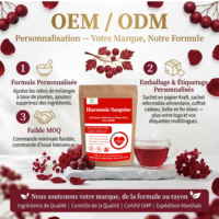 Teh Herbal Penyeimbang Darah Label Pribadi OEM Langsung dari Pabrik 84g 28 Sachet, Campuran Alami untuk Mendukung Sirkulasi, Grosir