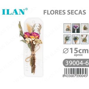 Bouquet de fleurs séchées ILAN, environ 15 cm, arrangement décoratif - Product Image 3