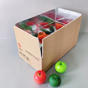 Kraft-PS-nhôm mát chèn | 5cm khoang cứng nhắc cho-18 ° C duy trì | cắt sẵn cho hộp/hộp đá <span class=keywords><strong>Coleman</strong></span> - Product Image 6