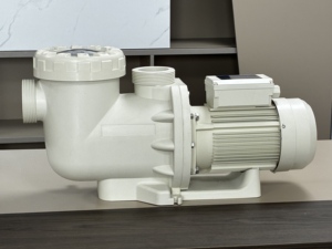 Pompe de piscine Hayward System Cadisdon, robuste, à haut débit, puissante, pour piscine - Product Image 5