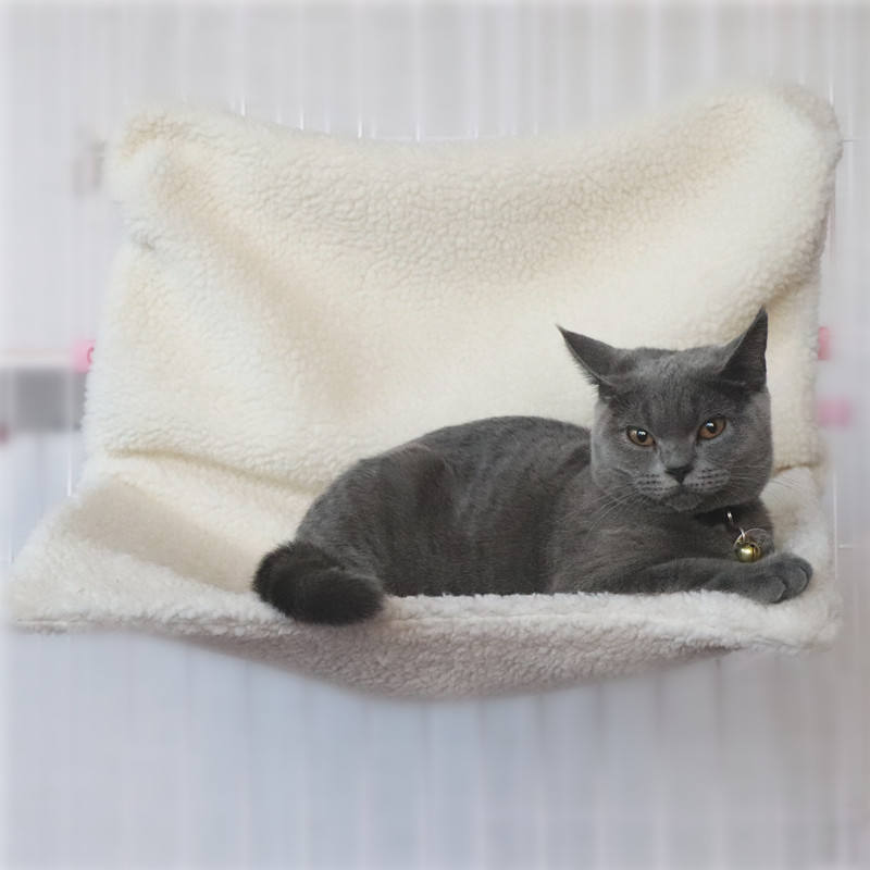 White(Polyester sherpa)