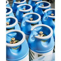 Système de gaz à faible consommation énergétique en acier, conçu pour des performances stables, un rendement constant, une utilisation efficace, compatible avec plusieurs énergies, paroi de 2,4 mm