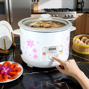 Vente directe usine 2025 – Cuiseur à riz automatique 500W 700W pour la cuisine – Prépare le riz sans effort avec J - Product Image 2