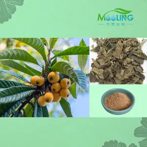 Chinese Herb Supplements Loquat Leaf Extract Powder CAS 77-52-1
