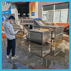 <span class=keywords><strong>เครื่อง</strong></span>ล้างแปรงลูกกลิ้งแบบพ่นน้ำสำหรับทำความสะอาดขิง สมุนไพรจีน รากบัว และหัวไชเท้า ประสิทธิภาพสูงสำหรับการใช้งานในอุตสาหกรรม - Product Image 3