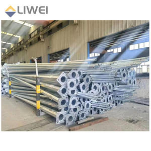 Palo per Illuminazione Stradale in Acciaio Zincato a Doppio Braccio, 20ft 25ft 30ft 5m 6m 7m 8m 9m 12m, Conico Ottagonale - Product Image 2