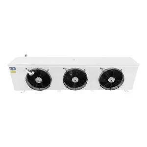 DD Series Air Cooler jenis Celling pendingin industri Evaporator untuk Freezer