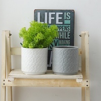 Planteur de cylindre en céramique blanche en gros d'usine petit kit de plante d'intérieur pour le jardinage vertical de bureau à domicile utilisé pour les succulentes