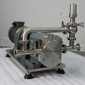 Bơm Thùy Quay Vệ Sinh Có Độ Nhớt Cao Cấp Thực Phẩm Bằng Thép Không Gỉ Lưu Lượng Cao 2.2KW Với Hệ Thống An Toàn - Product Image 4