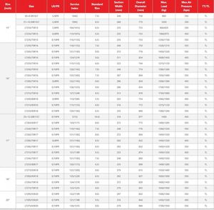 ยางรถยนต์ PCR Chaoyang 205/80R16 SL369จากจีน - Product Image 3