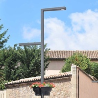 Éclairage paysager LED solaire IP66 étanche avec capteur d'allumage/extinction automatique pour jardin, allée, cour, décoration paysagère