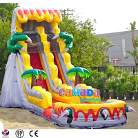 Toboggan aquatique gonflable géant en PVC de 0,55 mm sur le thème des dinosaures, château gonflable Dino, toboggans aquatiques commerciaux gonflables à vendre