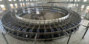 Compteur électronique <span class=keywords><strong>Salle</strong></span> <span class=keywords><strong>de</strong></span> <span class=keywords><strong>traite</strong></span> <span class=keywords><strong>rotative</strong></span> pour ferme laitière Table <span class=keywords><strong>de</strong></span> <span class=keywords><strong>traite</strong></span> Système <span class=keywords><strong>de</strong></span> plateau tournant - Product Image 2