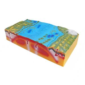 Modèle 3D <span class=keywords><strong>de</strong></span> tectonique des plaques et <span class=keywords><strong>de</strong></span> formes terrestres, aide pédagogique <span class=keywords><strong>de</strong></span> géographie sur <span class=keywords><strong>la</strong></span> structure <span class=keywords><strong>de</strong></span> <span class=keywords><strong>la</strong></span> <span class=keywords><strong>Terre</strong></span> pour <span class=keywords><strong>la</strong></span> salle <span class=keywords><strong>de</strong></span> classe et l'éducation scientifique - Product Image 4