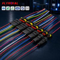 Connecteur étanche 1 2 3 4 5 6 broches OEM personnalisé pour véhicule, faisceau de câblage automobile étanche avec câble de raccordement électrique