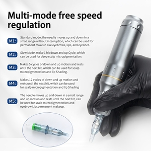 GINZO <span class=keywords><strong>profesional</strong></span> cuero cabelludo <span class=keywords><strong>micropigmentación</strong></span> Dermograph tatuaje pluma máquina labio cejas tatuaje Pmu máquina pluma Dermograph Kit - Product Image 5