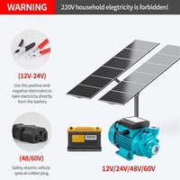 Pompe à eau solaire de surface haute pression 12 V CC 2 CV pour applications agricoles