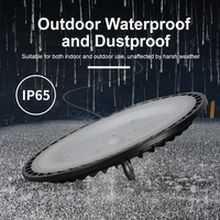 Lampe industrielle Rayluxtech UFO étanche pour l'exploitation minière et l'atelier, garantie 2 ans, échantillon gratuit, OEM/ODM