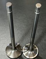 Pièces de moteur marin Weichai WH200 Diesel : Soupape d'admission 1002406427, Soupape d'échappement 1002406428