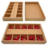 Boîte de présentation pour pique-nique, camping, fête, sushi, desserts, brunch, traiteur, emballage alimentaire, recyclable, biodégradable, pelliculage mat