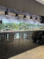 Aquarium sur mesure en verre ultra-transparent, grande taille, directement de l'usine, haute transparence, pour poissons d'eau douce, pour intérieur.